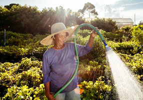 How to Properly Store Your Garden Hose for Longevity