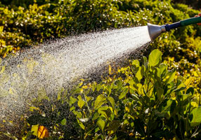 Avoiding Garden Hose Hazards: A Guide to Safe Watering