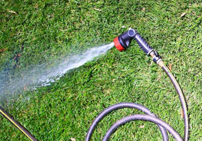 Eco-Friendly Garden Hoses: How to Save Water and Reduce Your Carbon Footprint