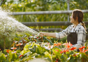 Why Regular Garden Hose Maintenance is Essential