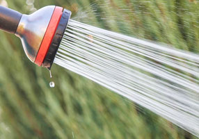 Watering Wisely: Tips for Efficiently Using Your Garden Hose