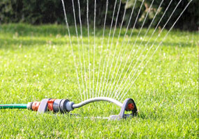 Say Goodbye to Plastic: The Rise of Eco-Friendly Garden Hoses