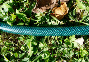 Avoiding Garden Hose Hazards: A Guide to Safe Watering