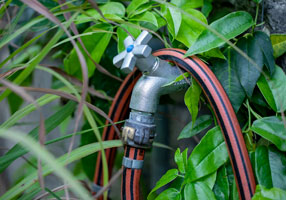 Avoiding Garden Hose Hazards: A Guide to Safe Watering